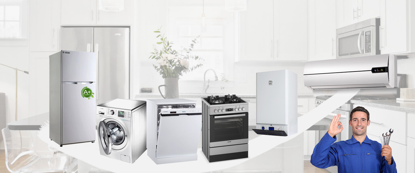Evka 1 Electrolux Servisi